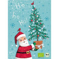 worldofsweets Windel Bio Adventskalender