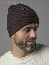 009 FL SHM    (58-60)