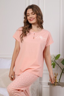 ������ ����-2 �-452 ����������