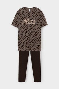 Very Neat    20099/24/ , 