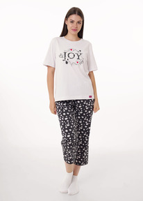 Clever   CLE LP15-1187/2 ./.