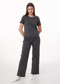 Clever   CLE LP15-1195 /.