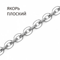 ���� ����� �������