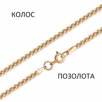 ���� �����  ���������