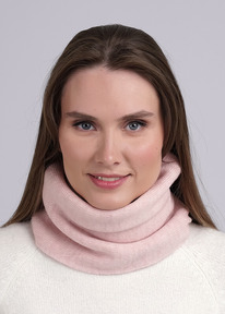 Clever   CLE 433881 .