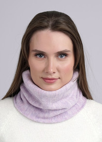 Clever   CLE 433881 .