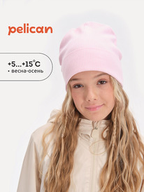 Pelican   UFQZ3356 -