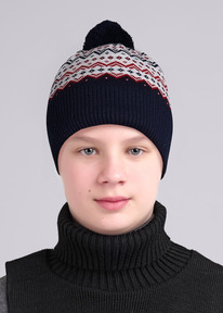 Clever   CLE 433989  ./