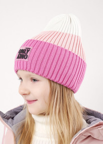 Clever   CLE 523489 /