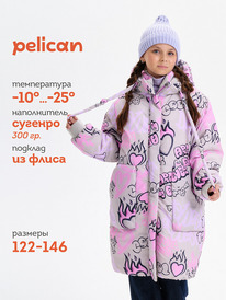 Pelican    GZFH3379 -