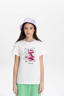 Pelican �������� ��� ������� GFT3369/1 ��������