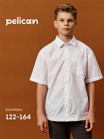 Pelican     BWCT7121 