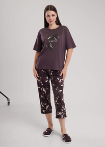 Clever ������ ������� CLE LP15-1181/1 ����������/��.�������