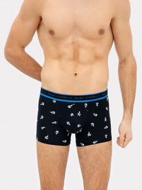 Mark Formelle   411221 411221    1050