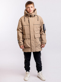   23.12  Batik 809-24-2 - "" 809-24-2 