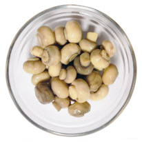 ���������� ������������ ����� ����