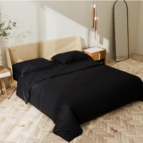 �������� ����������� ����� �� ����-������ ׸����