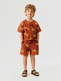 13.01 Acoola ����� ������� ��� ��������� ((1)�������� � (2)�����) Hoste_set 2012