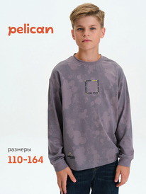 13.01 Pelican ������� ��� ��������� BFJ3377 �����