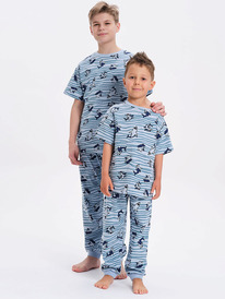 13.01 Pelican ������ ��� ��������� NFATP3371U �������