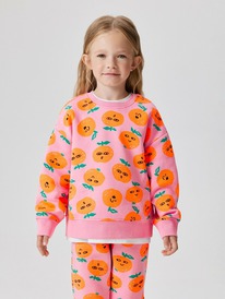 ����� �� 20.01 Acoola ������� ������� ��� ������� Carife_sw 20220170166 �������