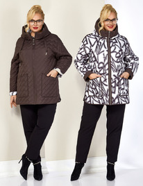 ������ SHETTI 2199 �����