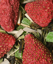 ��� ������� 