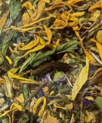 �������� ���� 