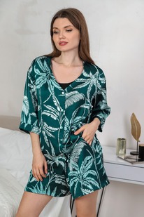 ������ ������-1 ��-020 ����������