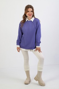 ������� ������� �-010 ���������