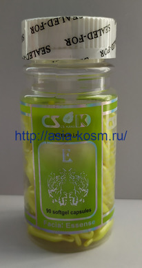 ���� � �������� ������������.