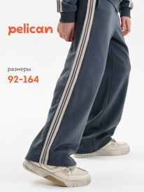 Pelican ����� ��� ��������� BFPQ3389/1U �����