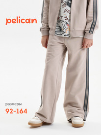 Pelican ����� ��� ��������� BFPQ3389U ������-�����