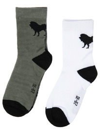 PlayToday ����� ����������� ��� ���������, 2 ���� � ��������� 12412234