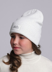 Clever ����� ������� CLE 433870�� ��������/�����