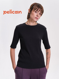 05.05  Pelican �������� ������� DFT6944 ������