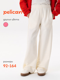 24.03 Pelican ����� ��� ������� GFP3388//1U ��������