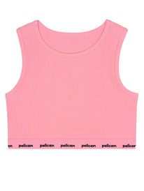 12.04  Pelican ����� ��� ������� GUWB3369 �������