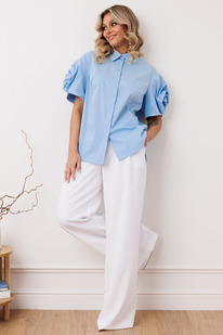 ����� ���� ��� 2916bl �������