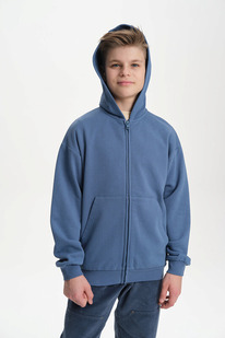 12.04  Pelican ��������� ��� ��������� BFXK3370 �����