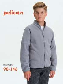 12.04  Pelican ������ ��� ��������� BFXS3376//1 �����