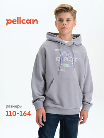 12.04  Pelican ��������� ��� ��������� BFNK3377/2 �����