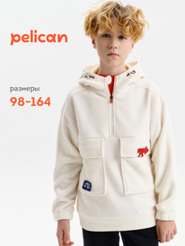 12.04  Pelican ������ ��� ��������� BFNK3388/2 ��������