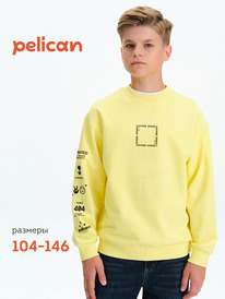 12.04  Pelican ��������� ��� ��������� BFN3377 ���������