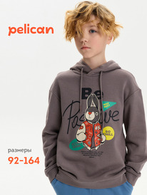 12.04  Pelican ��������� ��� ��������� BFNK3387 �����