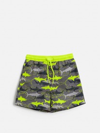 08.04 Acoola ����� ��������� ������� ��� ��������� Ataturk 20124750025 ������� �