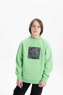 12.04  Pelican ��������� ��� ��������� BFN3369 ���������