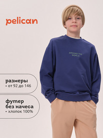 12.04  Pelican ��������� ��� ��������� BFN3371U �����-�����