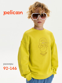 12.04  Pelican ��������� ��� ��������� BFN3387U ������