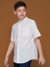 22.04 Pelican ������� ������� ��� ��������� BWCT7117 �����